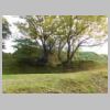 DSCN9816.JPG