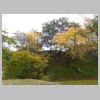 DSCN9817.JPG