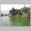DSCN5996.JPG