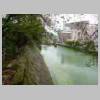 DSCN6002.JPG