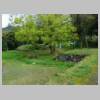 DSCN9159.JPG