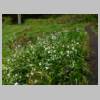 DSCN9165.JPG