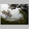 DSCN9175.JPG