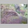 DSCN9192.JPG