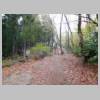 DSCN9209.JPG