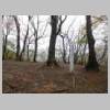DSCN9222.JPG