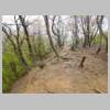DSCN9225.JPG