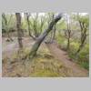 DSCN9226.JPG