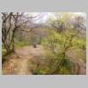 DSCN9239.JPG