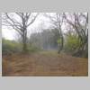 DSCN9241.JPG