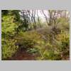 DSCN9250.JPG