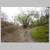 DSCN9251.JPG