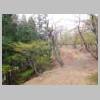 DSCN9255.JPG