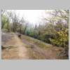 DSCN9263.JPG
