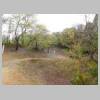 DSCN9267.JPG