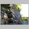 DSCN5572.JPG