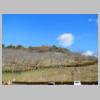 DSCN7785.JPG