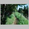 DSCN6248.JPG