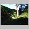 DSCN6259.JPG