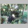DSCN6186.JPG