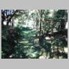 DSCN6190.JPG