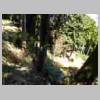 DSCN6203.JPG