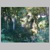 DSCN6217.JPG