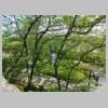 DSCN0513.JPG