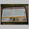 DSCN0526.JPG