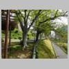 DSCN0538.JPG