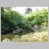 DSCN0545.JPG