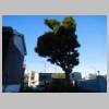 DSCN7704.JPG