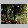 DSCN7709.JPG