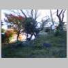 DSCN7741.JPG