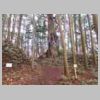 DSCN0713.JPG