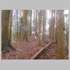 DSCN0716.JPG