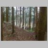 DSCN0717.JPG