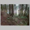 DSCN0718.JPG