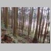 DSCN0719.JPG