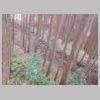 DSCN0720.JPG
