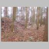 DSCN0723.JPG