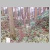 DSCN0725.JPG