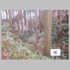DSCN0726.JPG