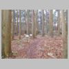 DSCN0728.JPG
