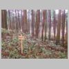 DSCN0729.JPG