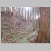 DSCN0732.JPG