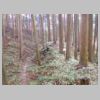 DSCN0734.JPG