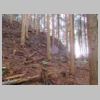 DSCN0736.JPG