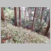 DSCN0742.JPG