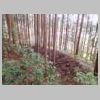 DSCN0745.JPG